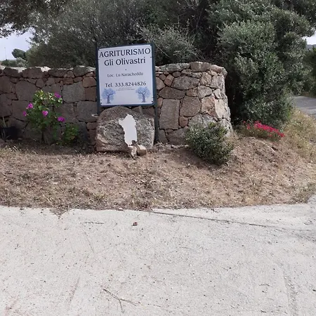 Agriturismo Gli Olivastri-2