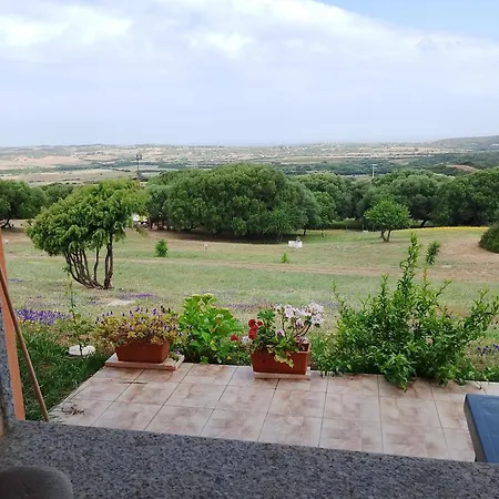 Agriturismo Gli Olivastri-3